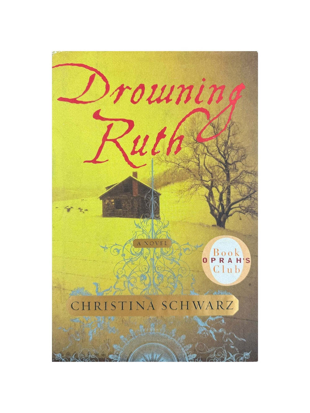 Drowning Ruth by Christina Schwarz (Hardcover)